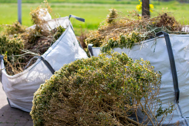 Best Yard Cleanup Services  in Altamont, IL